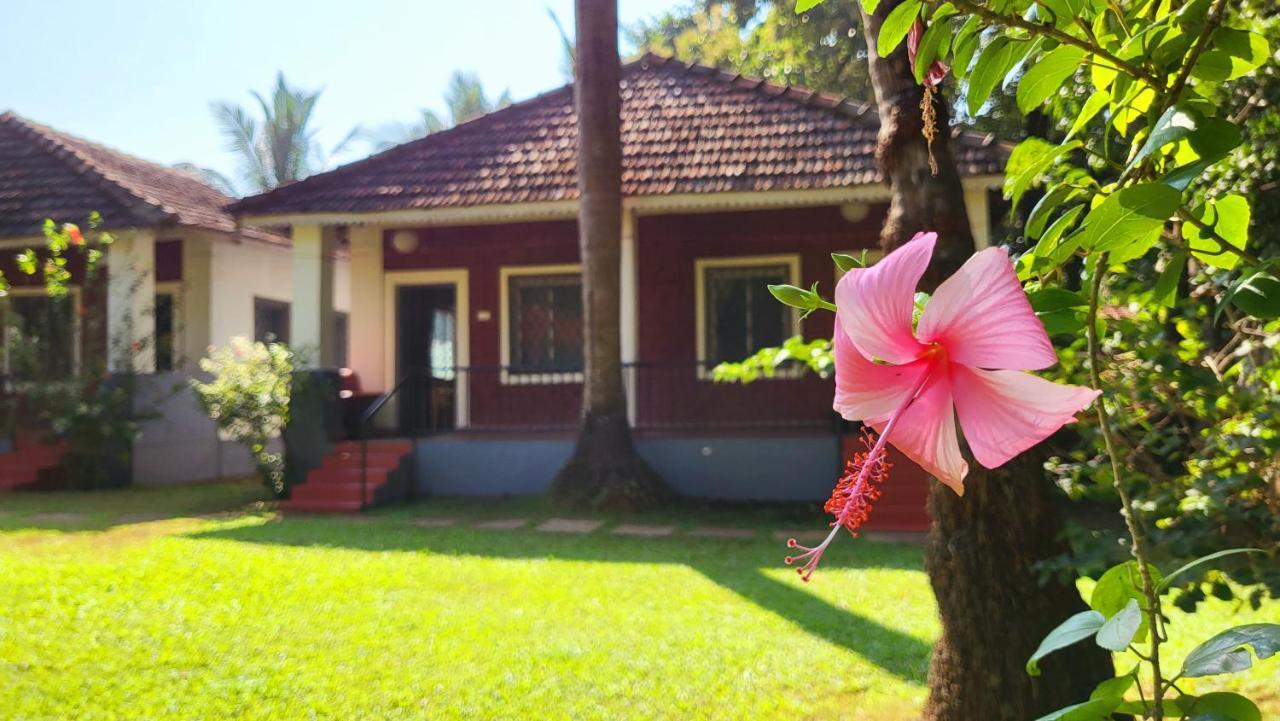 Garden Villa Vagator Eksteriør bilde